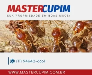 Eliminar Cupim, Solicite Orçamento Já pelo WhatsApp (11) 94642-6661