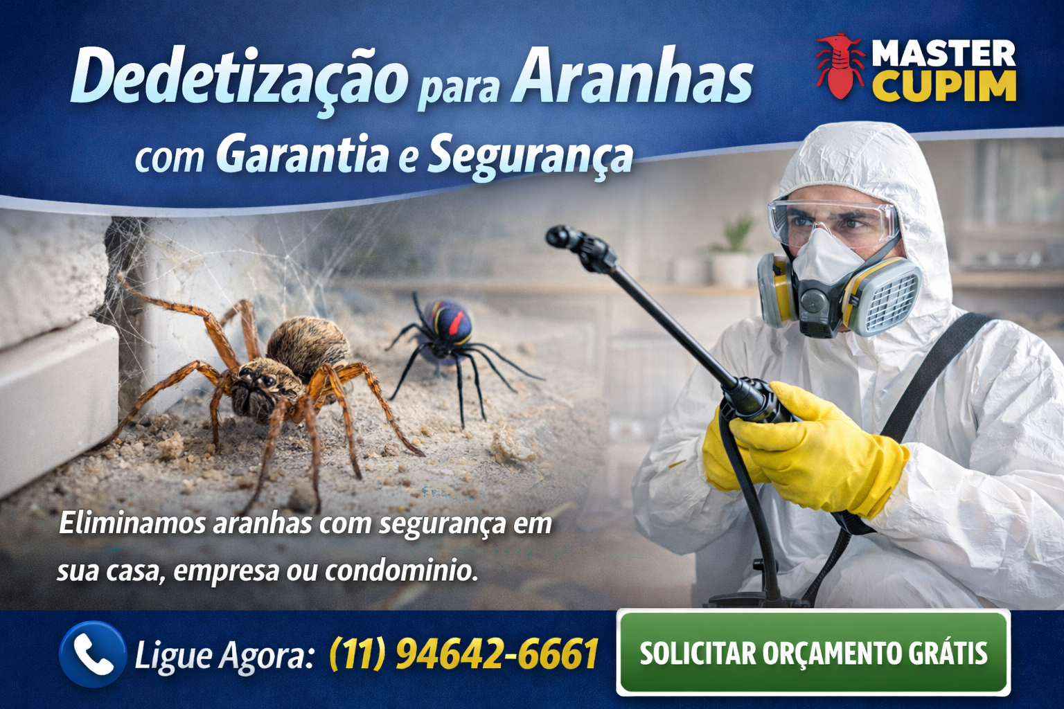 dedetizacao para aranhas